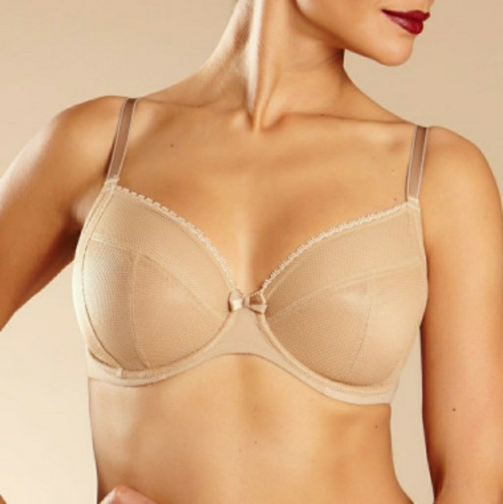 NWOT  Chantelle Parisian 4-Part Plunge UW
